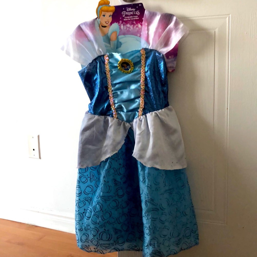 Princess Cinderella costume.  Size 3+